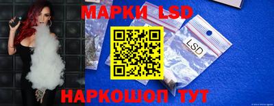 гидропоника Вязьма