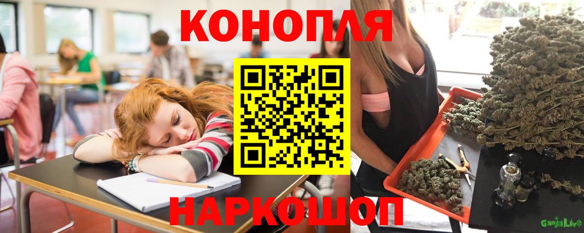 Бошки марихуана план  МАРИХУАНА AK-47  Марихуана Amnesia  Канабис Amnesia  Щёлково  Вход с VPN 